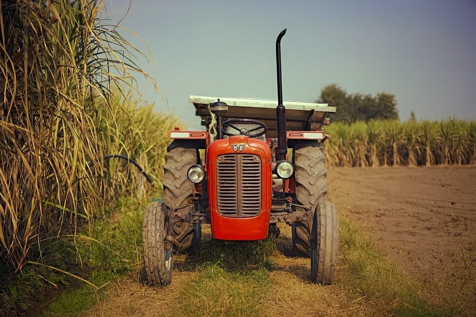 meant by row crops