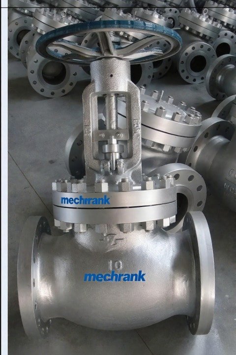 globe valve types