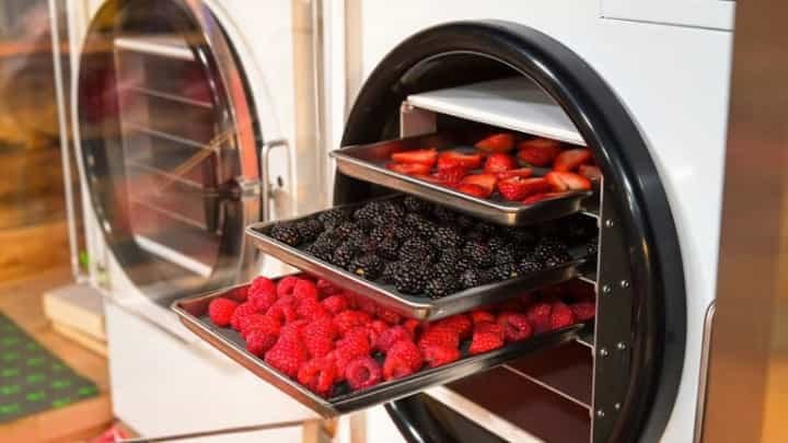 the strengths and weaknesses of freeze dryer